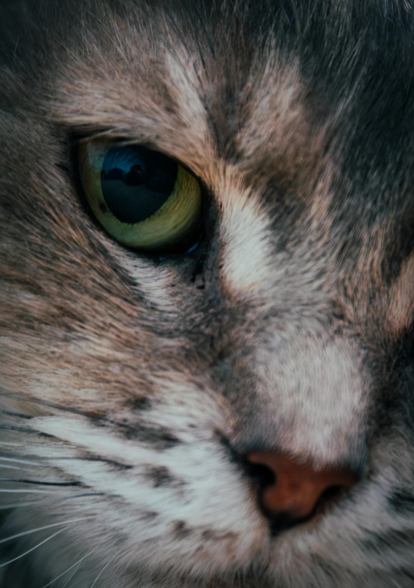 My Precious, Portrait photography by Parker Imaging